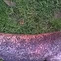 IMG-20141019-WA002